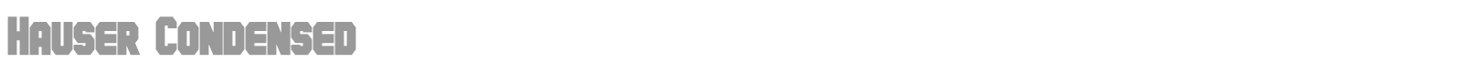 Hauser font preview